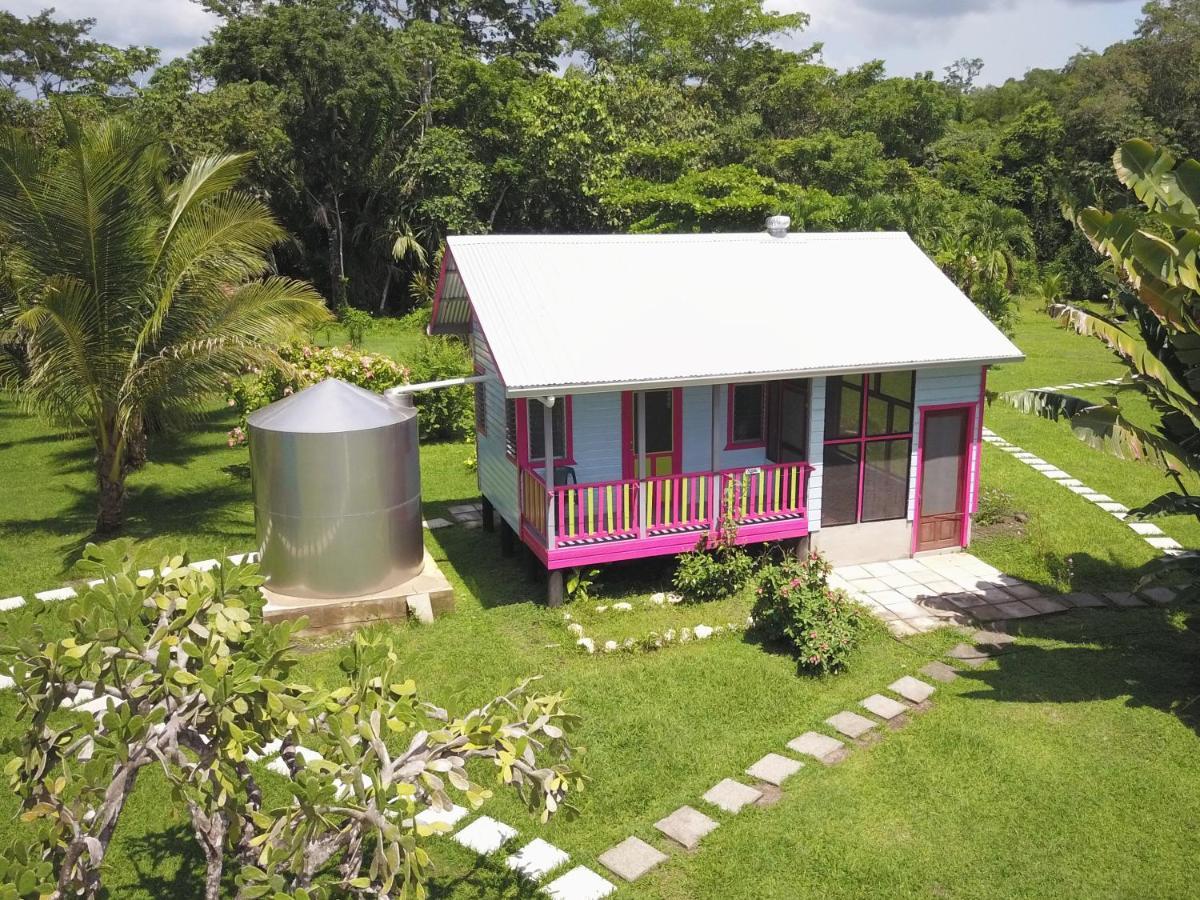 Lower Dover Jungle Lodge & Maya Ruins Unitedville Bagian luar foto