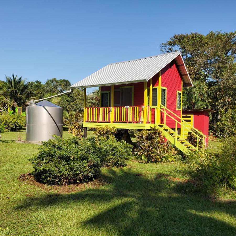 Lower Dover Jungle Lodge & Maya Ruins Unitedville Bagian luar foto