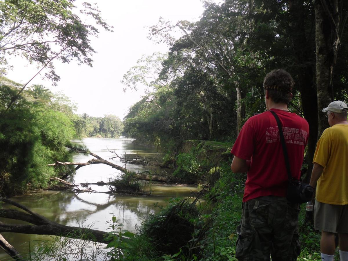 Lower Dover Jungle Lodge & Maya Ruins Unitedville Bagian luar foto