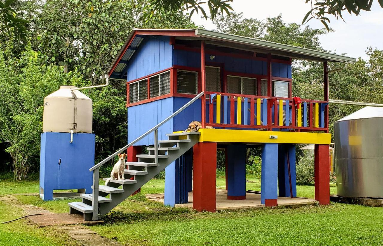 Lower Dover Jungle Lodge & Maya Ruins Unitedville Bagian luar foto