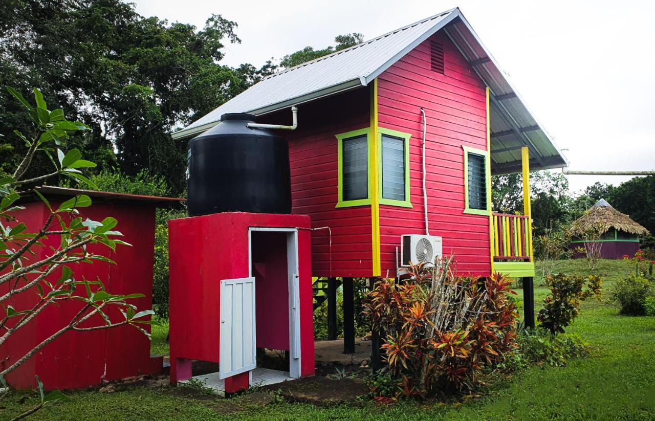 Lower Dover Jungle Lodge & Maya Ruins Unitedville Bagian luar foto