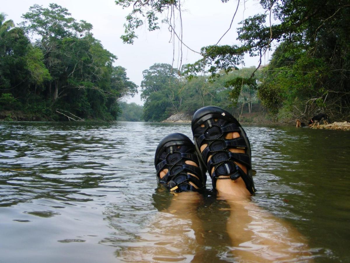 Lower Dover Jungle Lodge & Maya Ruins Unitedville Bagian luar foto