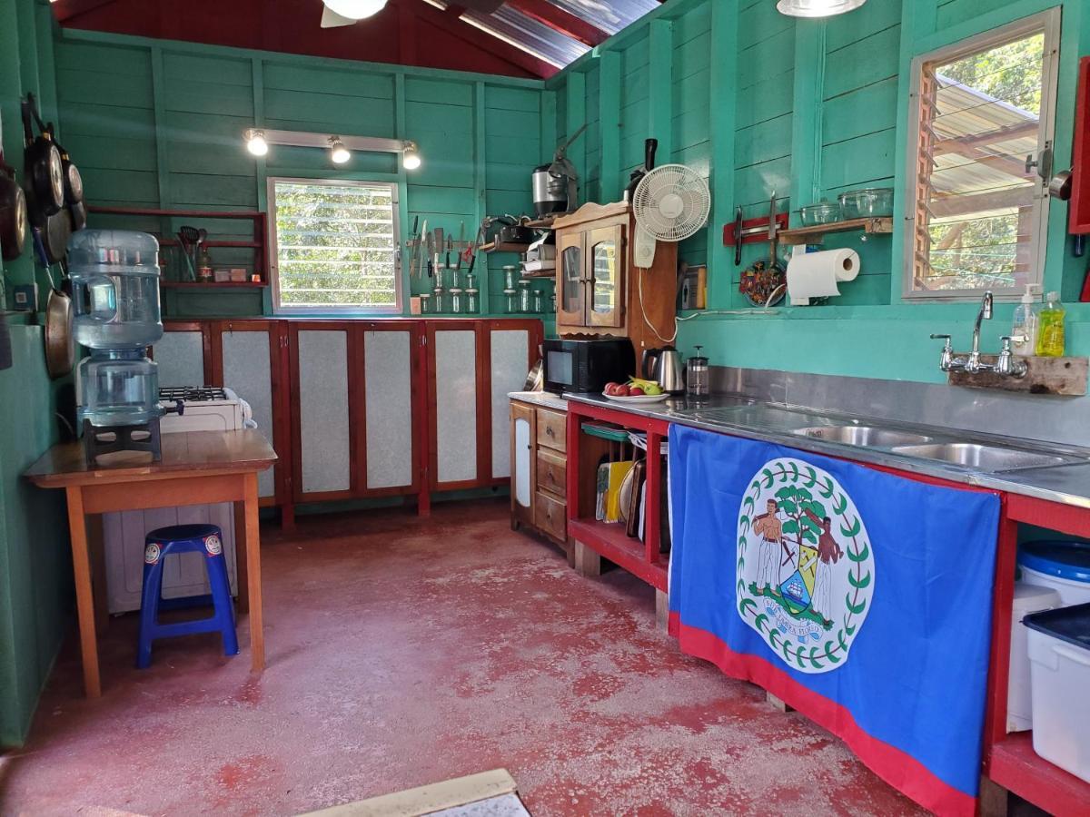 Lower Dover Jungle Lodge & Maya Ruins Unitedville Bagian luar foto
