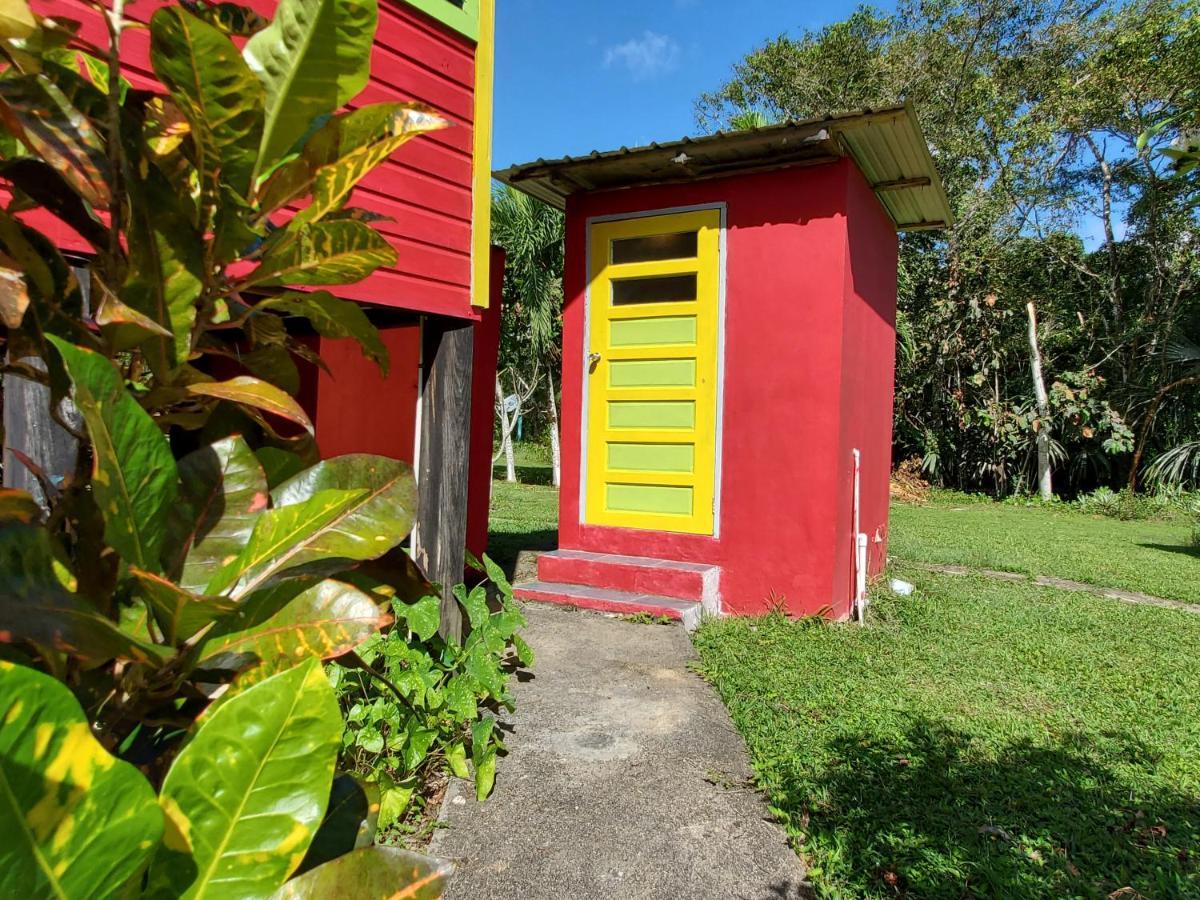 Lower Dover Jungle Lodge & Maya Ruins Unitedville Bagian luar foto