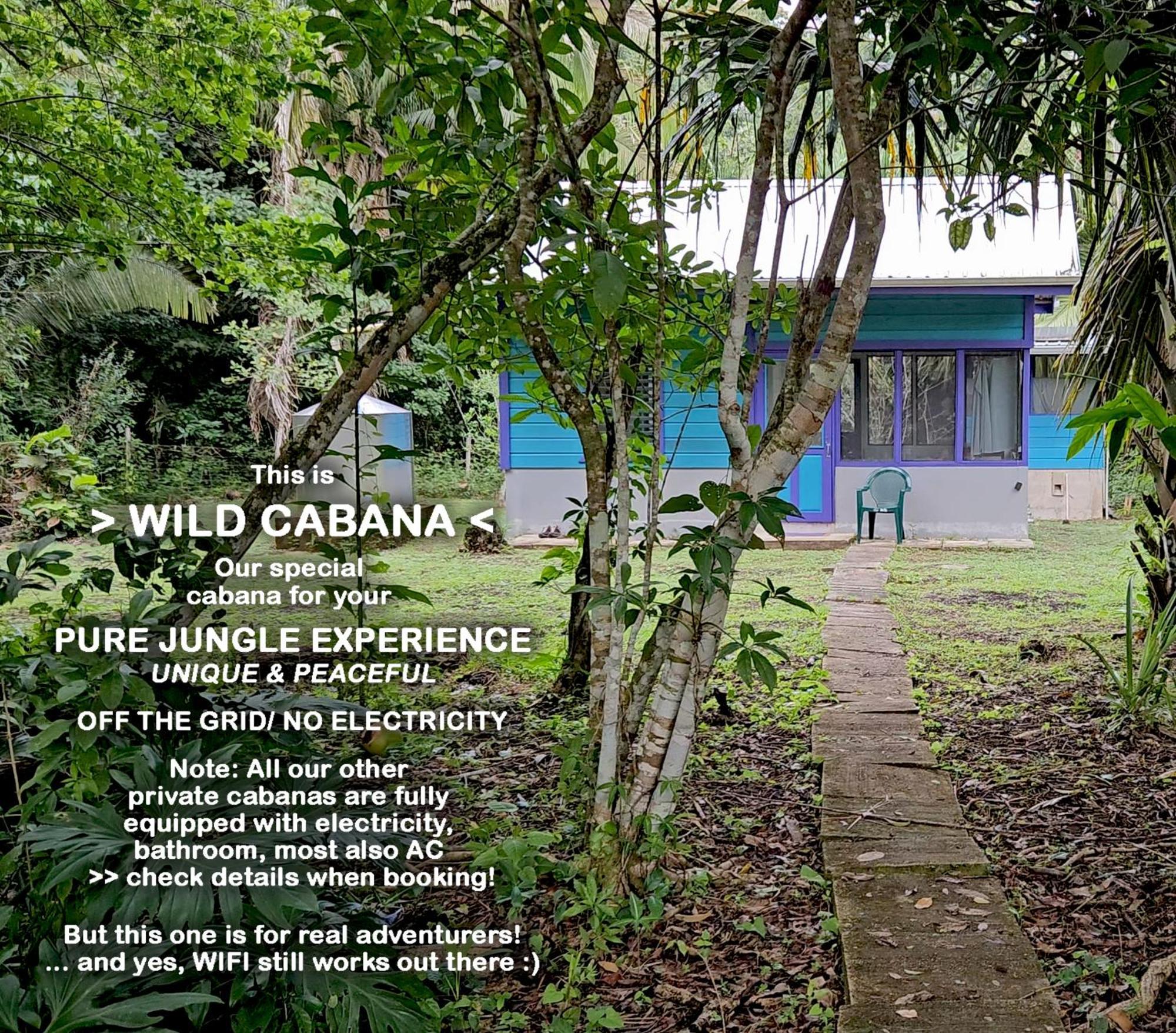 Lower Dover Jungle Lodge & Maya Ruins Unitedville Ruang foto