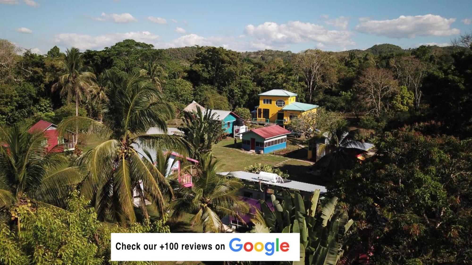 Lower Dover Jungle Lodge & Maya Ruins Unitedville Bagian luar foto
