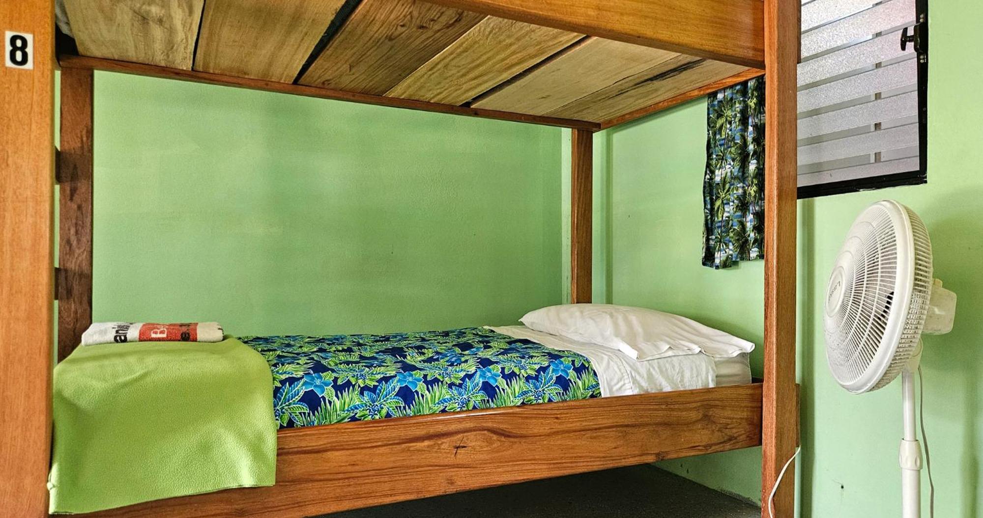 Lower Dover Jungle Lodge & Maya Ruins Unitedville Ruang foto