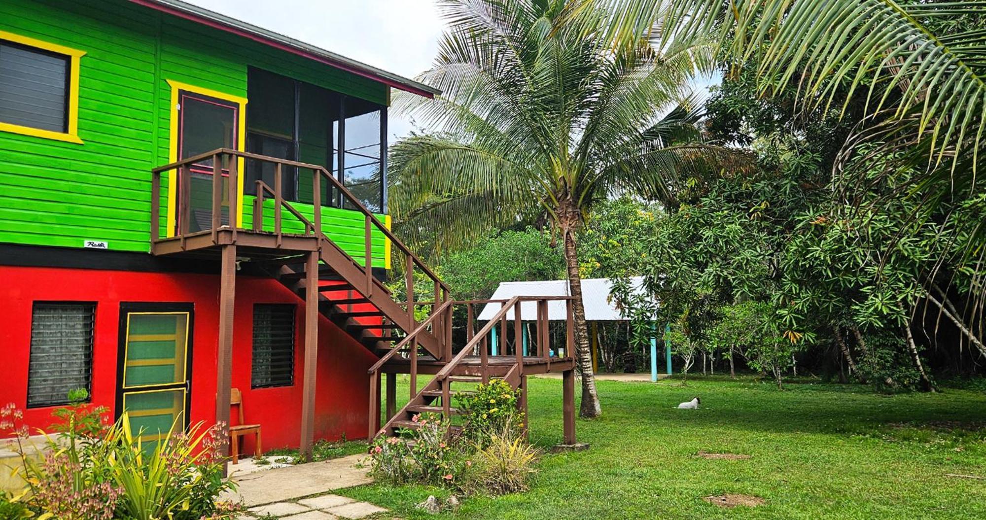 Lower Dover Jungle Lodge & Maya Ruins Unitedville Ruang foto