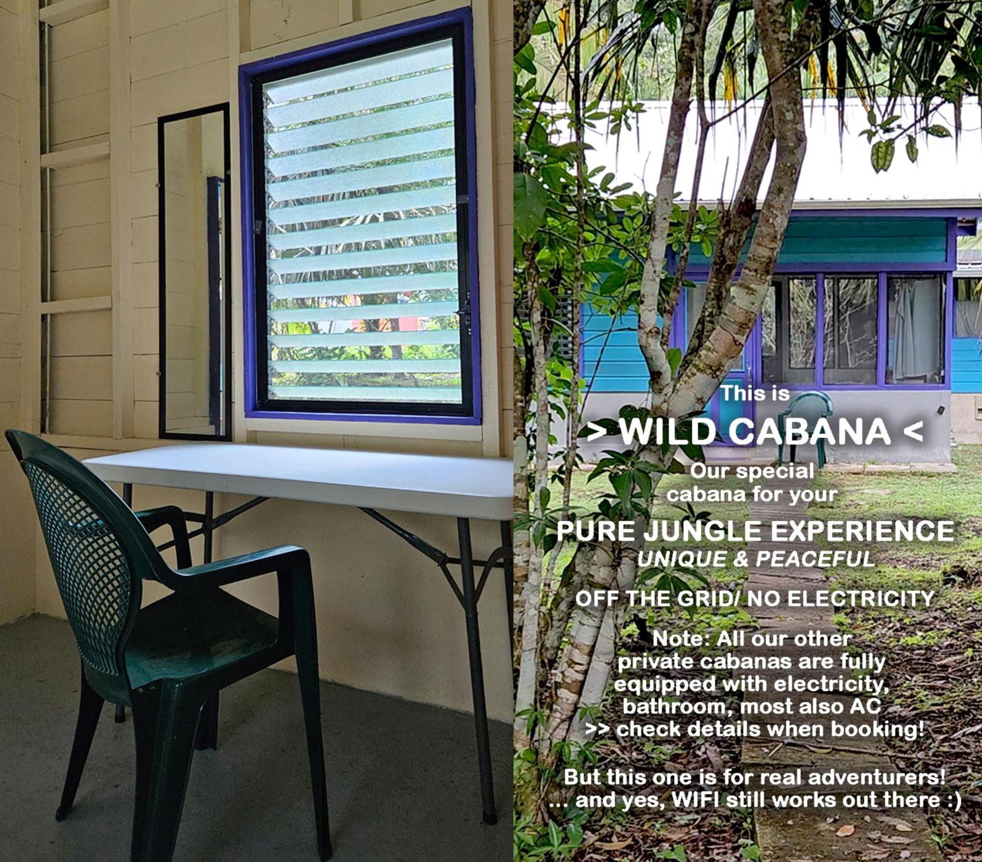 Lower Dover Jungle Lodge & Maya Ruins Unitedville Ruang foto