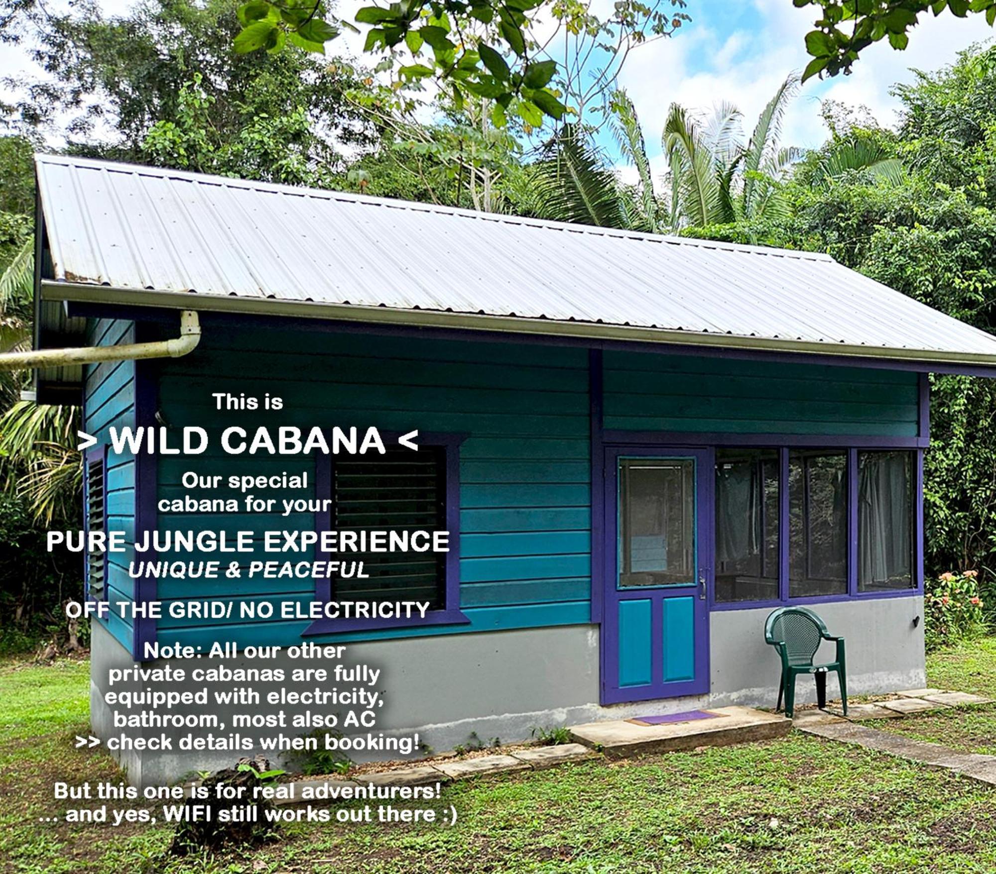 Lower Dover Jungle Lodge & Maya Ruins Unitedville Ruang foto