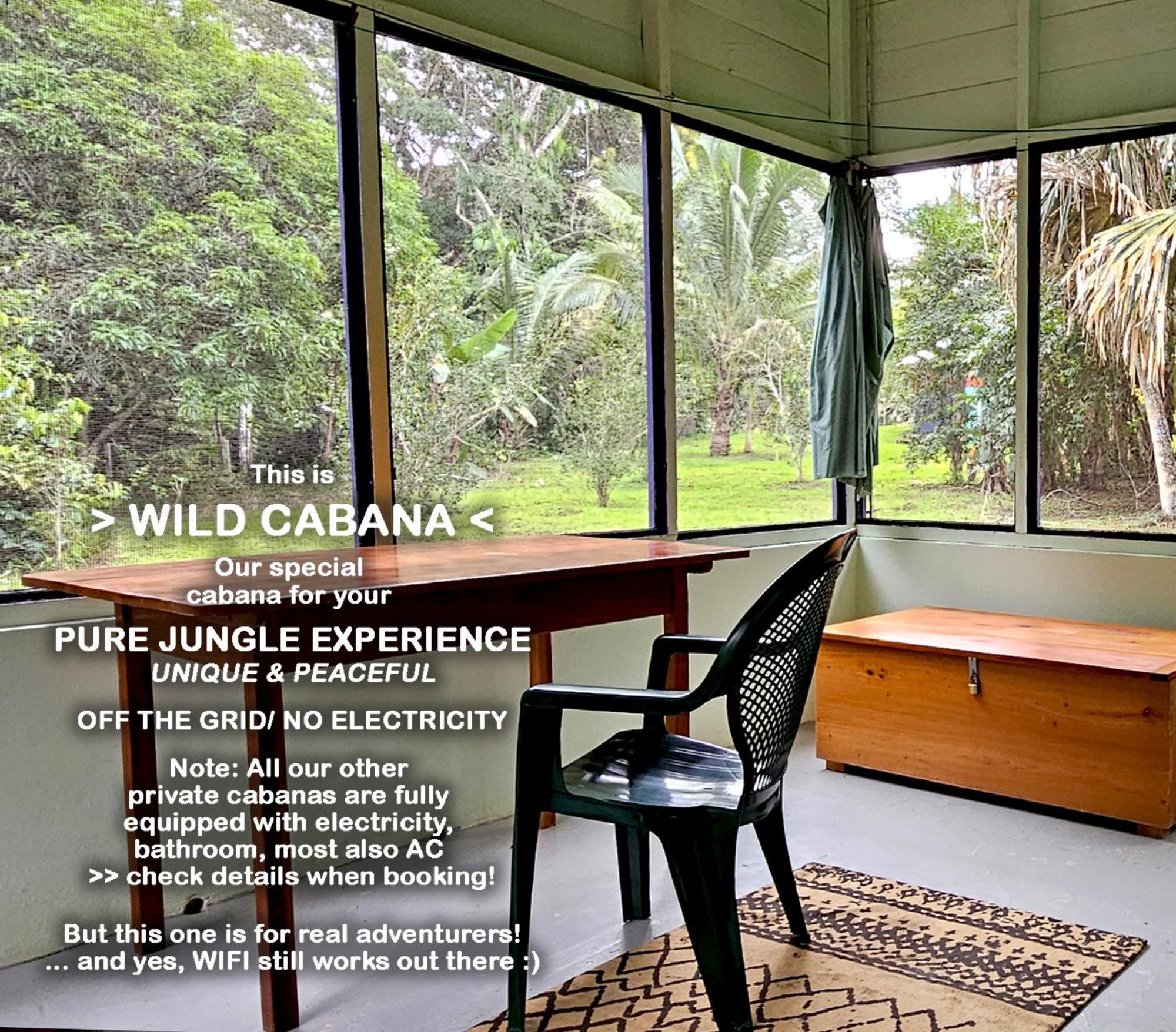 Lower Dover Jungle Lodge & Maya Ruins Unitedville Ruang foto