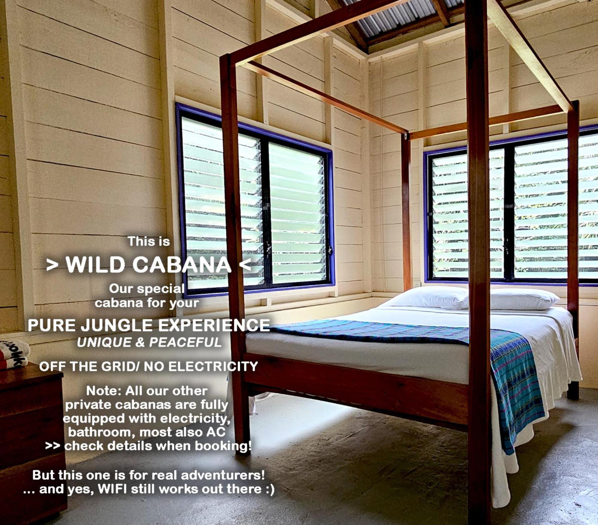 Lower Dover Jungle Lodge & Maya Ruins Unitedville Ruang foto