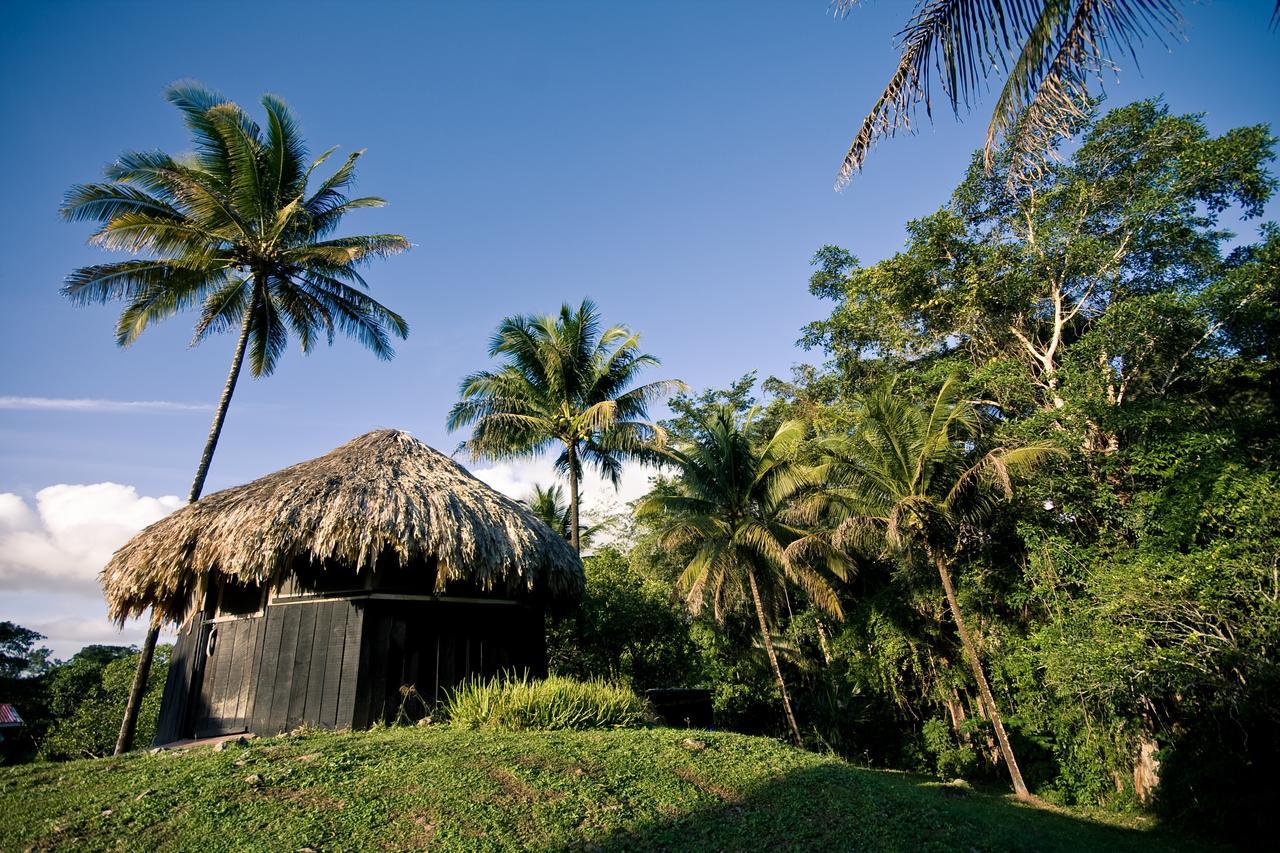 Lower Dover Jungle Lodge & Maya Ruins Unitedville Bagian luar foto