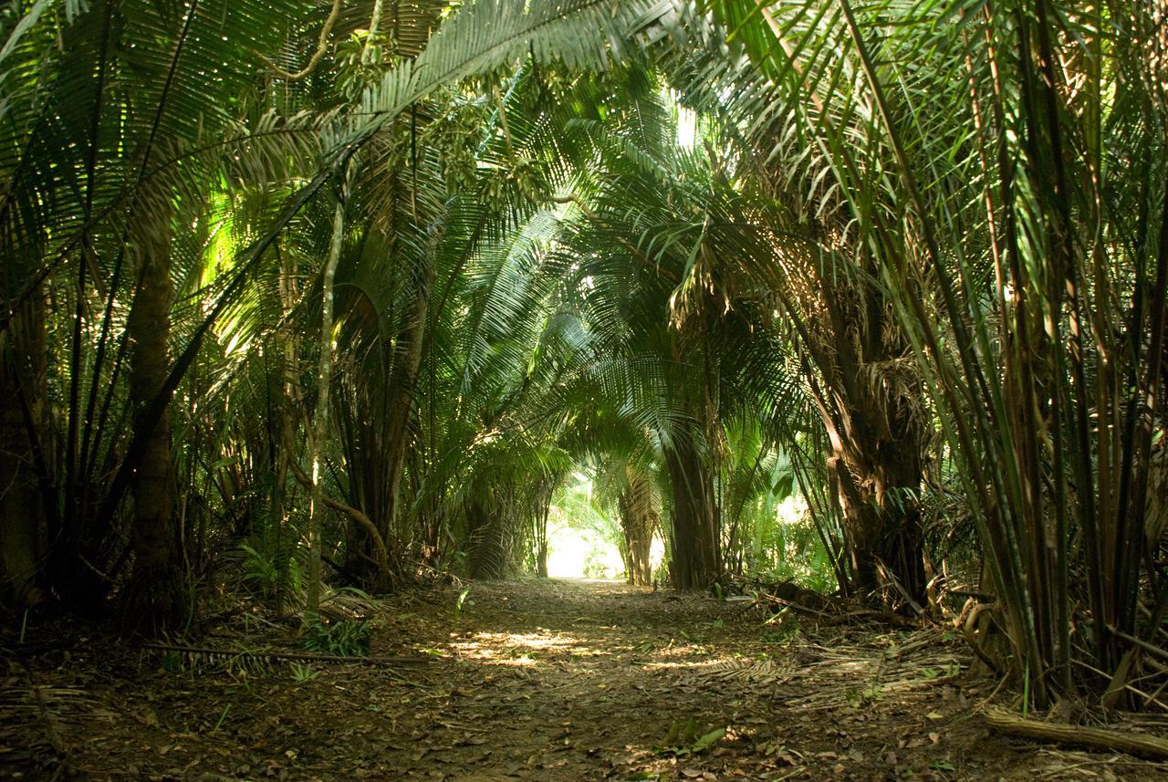 Lower Dover Jungle Lodge & Maya Ruins Unitedville Bagian luar foto
