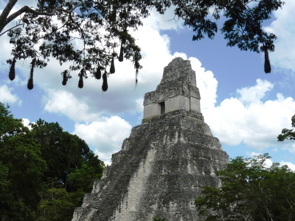 Lower Dover Jungle Lodge & Maya Ruins Unitedville Bagian luar foto