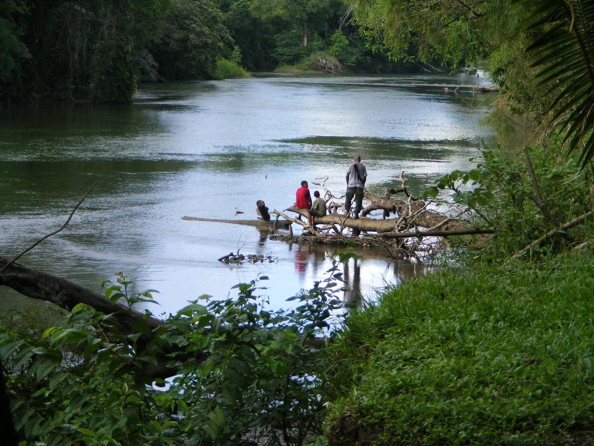 Lower Dover Jungle Lodge & Maya Ruins Unitedville Bagian luar foto