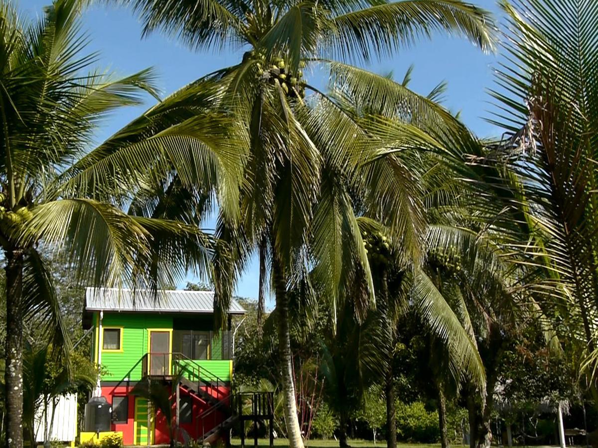 Lower Dover Jungle Lodge & Maya Ruins Unitedville Bagian luar foto