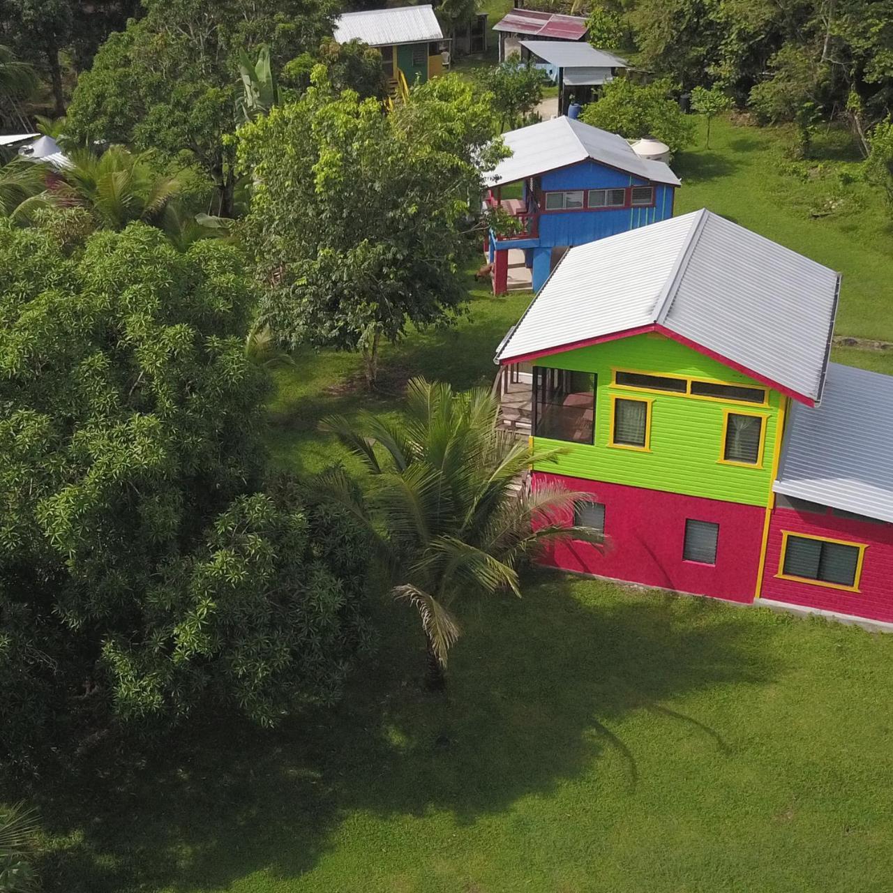 Lower Dover Jungle Lodge & Maya Ruins Unitedville Bagian luar foto